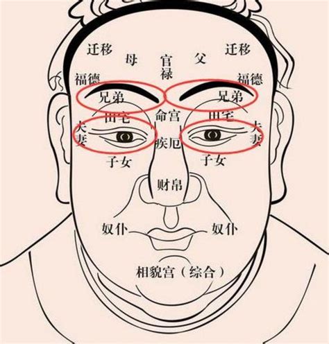 百歲流年圖|教你學懂面相學！各種面相法綜合分解，百歲流年運氣。